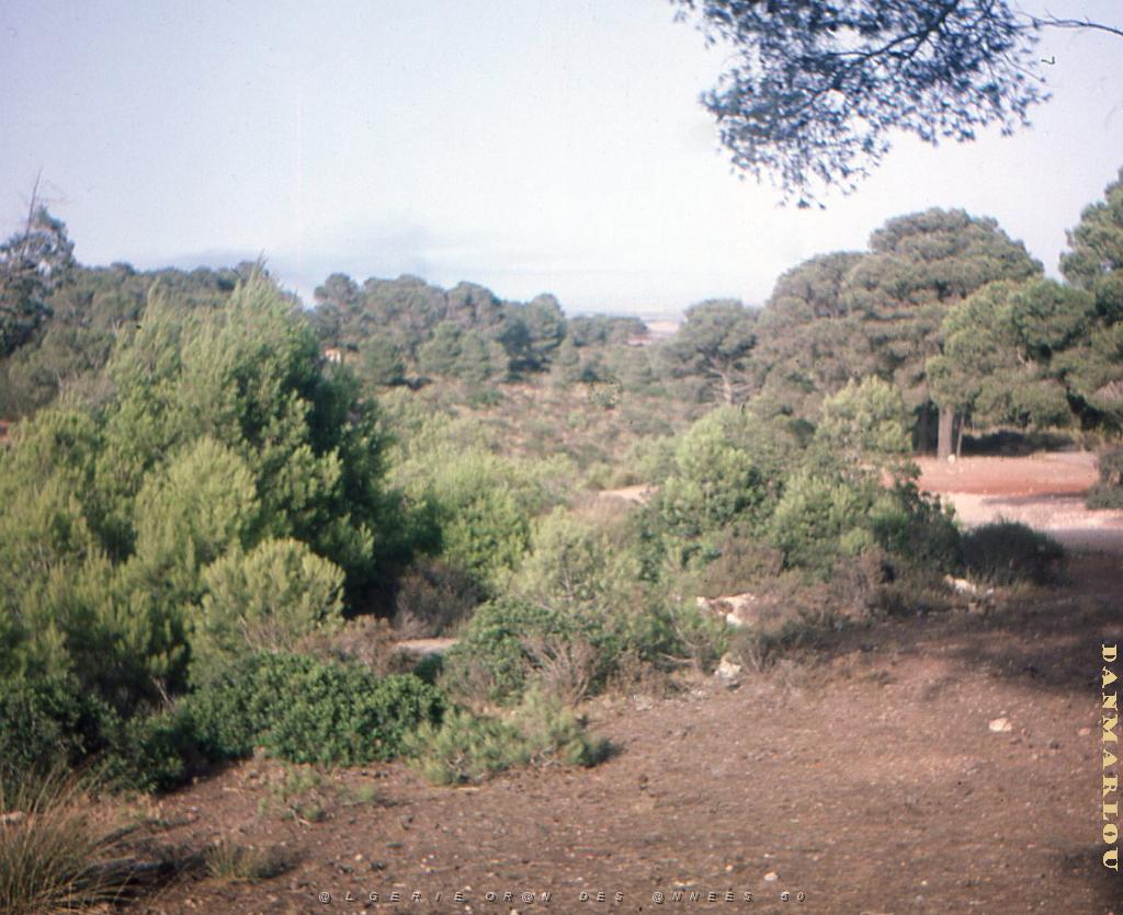 LE KHAR OU LA MONTAGNE DES LIONS (18).jpg